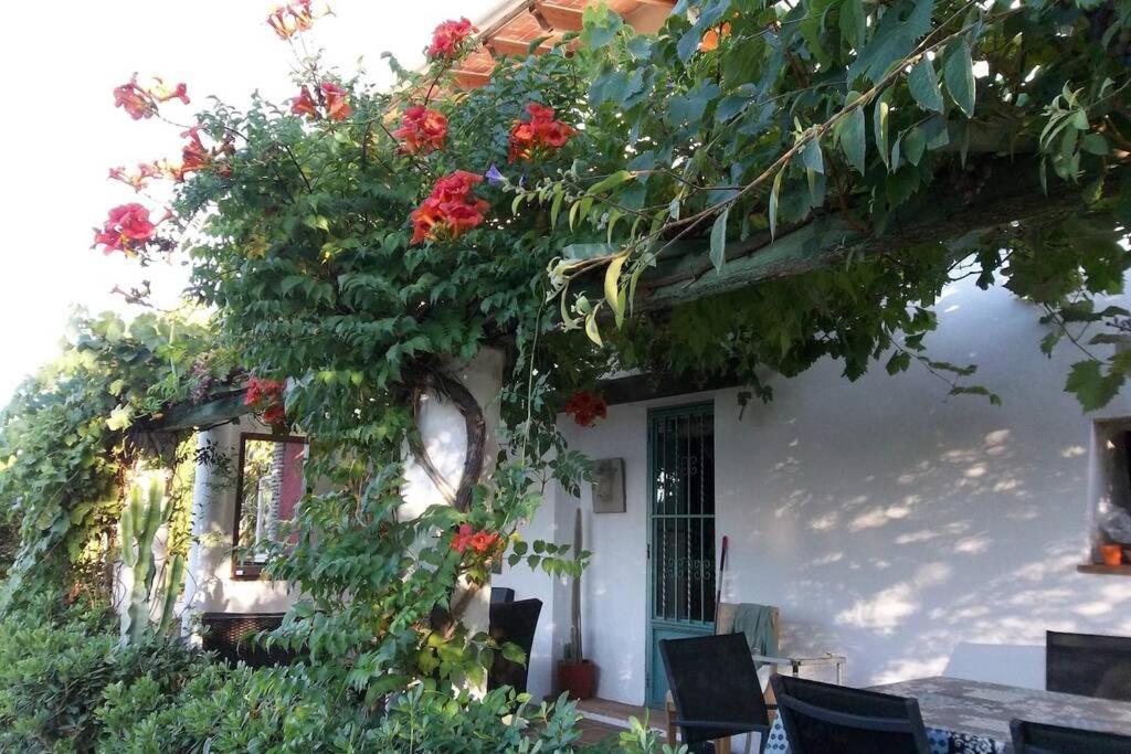 クリェラ Cortijo Con Encantoヴィラ エクステリア 写真
